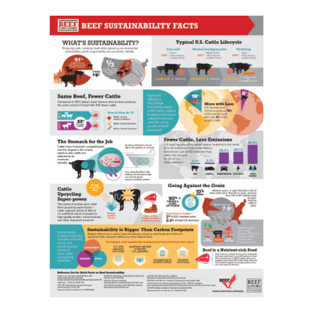 Beef Sustainability Facts and Infographics