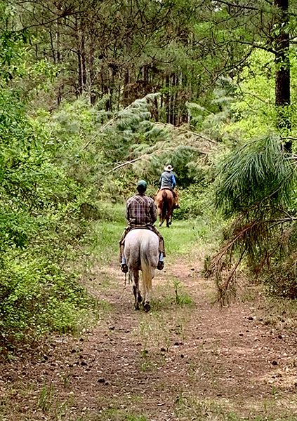 Working on the Ranch