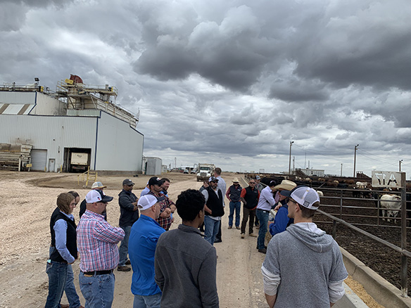 Pasture to Plate Tour - Feedyard Visit