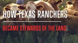 The Story Behind Brown Ranch in Texas