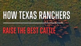 The Story Behind R.A. Brown Ranch in Texas: Raising the Best