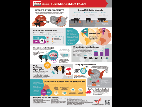 Beef Sustainability