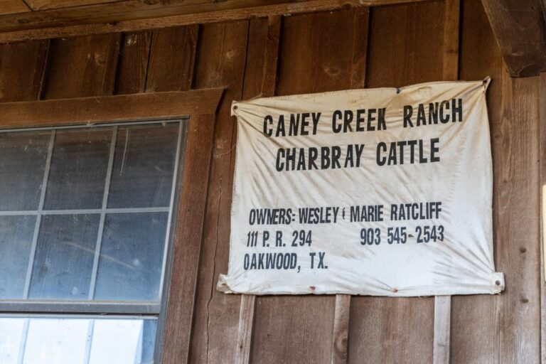 Kimberly Ratcliff Oakwood, Texas Beef Loving Texans Beef Loving