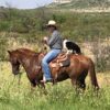 McKenzie Land and Livestock – Pecos County, Texas