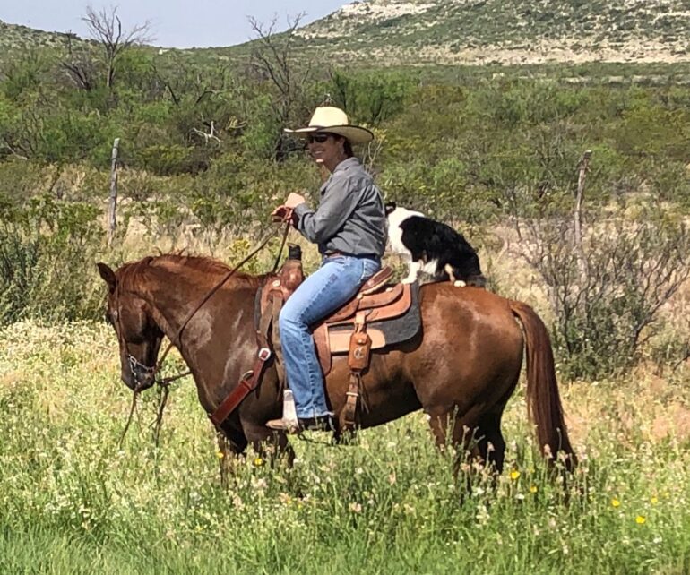 McKenzie Land and Livestock – Pecos County, Texas