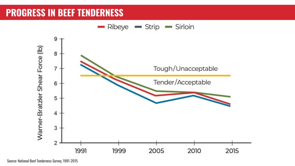 Progress in beef tenderness