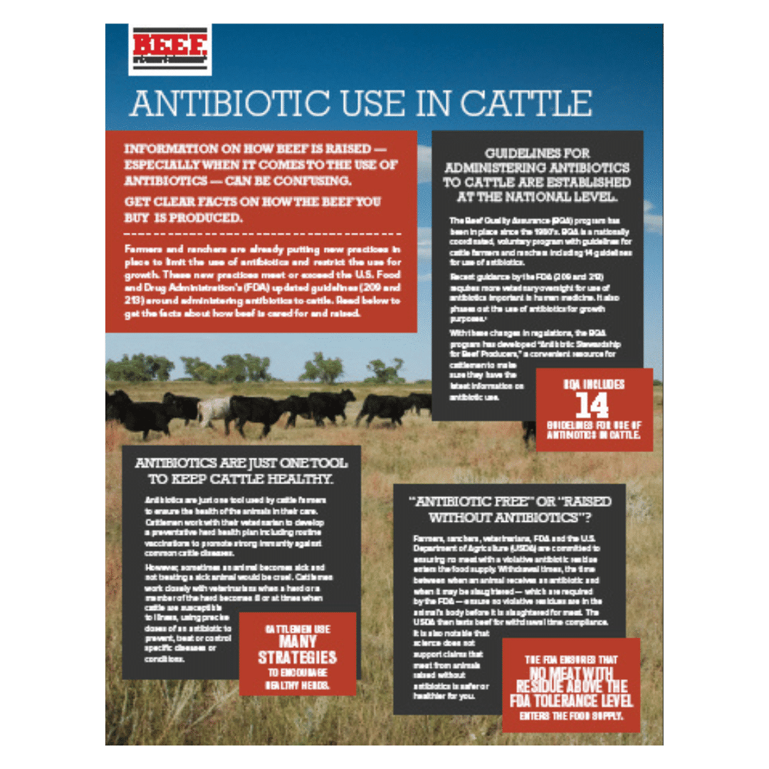 antibiotic-use-in-cattle-beef-loving-texans-beef-loving-texans-is