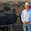 High Plains, High Standards: David Baumann’s Journey in the Beef Industry